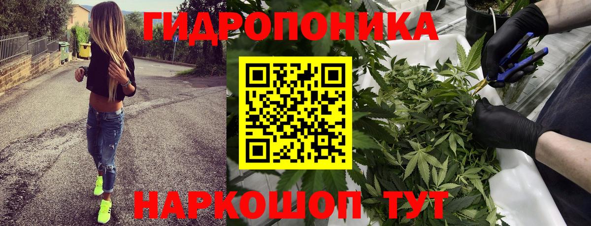 Бошки Шишки ГИДРОПОН  Вход с VPN  Бошки Шишки SATIVA & INDICA  МАРИХУАНА сатива  Джанкой 